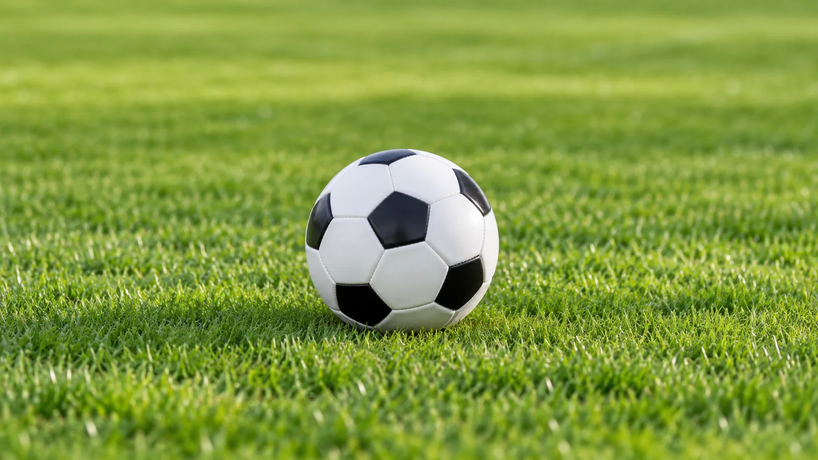 张立鹏与前田诚的巅峰对决谁将成为拳坛新王者的传奇之战